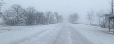 48 машини работят по опесъчаване и почистване на републиканската пътна мрежа