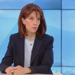 Камелия Нейкова за изборните секции в чужбина: Решението е политическо