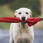 Прогноза за времето във вторник, 17 февруари