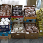 Традиционни участници на Борсата за семена и посадъчен материал в Добрич (ВИДЕО)