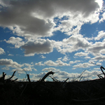 Времето на 26 февруари