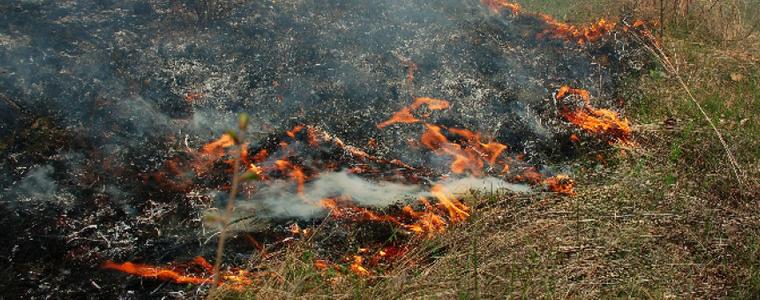 РД ПБЗН – Добрич предупреждава: С настъпването на пролетта се повишава рискът от пожари