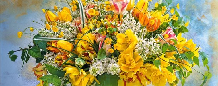 Слънчев понеделник - 2 март