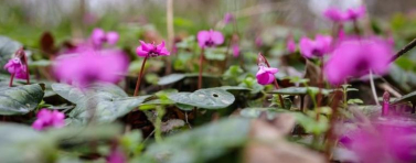 Прогноза за времето на 8 март