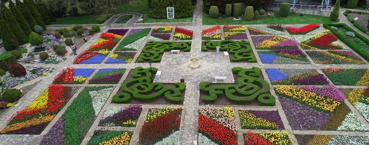 Парадът на лалетата в УБГ в Балчик - цветна феерия край морето (ВИДЕО)