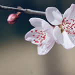 Прогноза за времето в неделя, 19 април