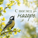 Събитие за наблюдение на птици ще се проведе днес в зооцентъра в Добрич