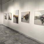 „Вътрешни състояния“ – новите творчески търсения на Пенка Димитрова – Дамбулова