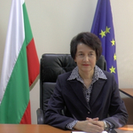 Запалиха къщата на бившия кмет на Добрич Детелина Николова