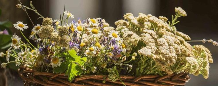 Двудневна празнична програма в ЕК „Стария Добрич“ за Еньовден