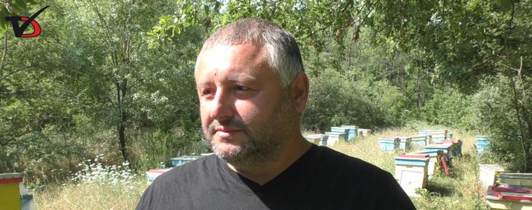 Пчелар: Въпреки трудното начало на сезона, надеждите са за добра слънчогледова паша