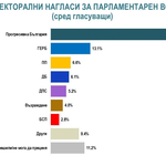 "Алфа Рисърч": Управляващите разполагат с електорална преднина