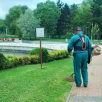 В ход е лятната поддръжка на зелените площи в Добрич