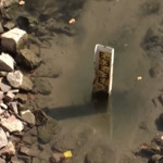 Река Рейн може да се раздели на две заради ниското ниво на водите
